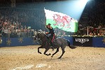 Cavalry - 00084
